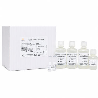 InnoSpin Blood DNA Extraction Kit